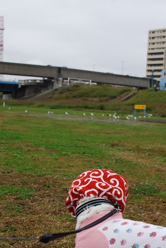 f0214121_21443696.jpg