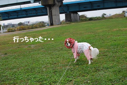 f0214121_2201482.jpg