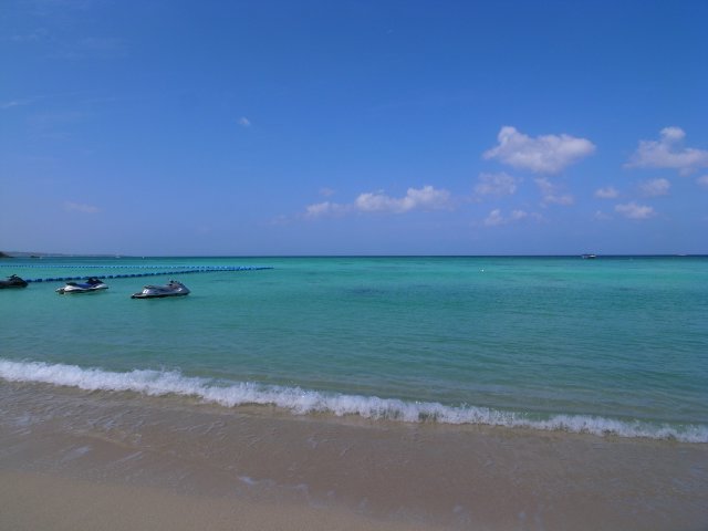 f0209122_174160.jpg
