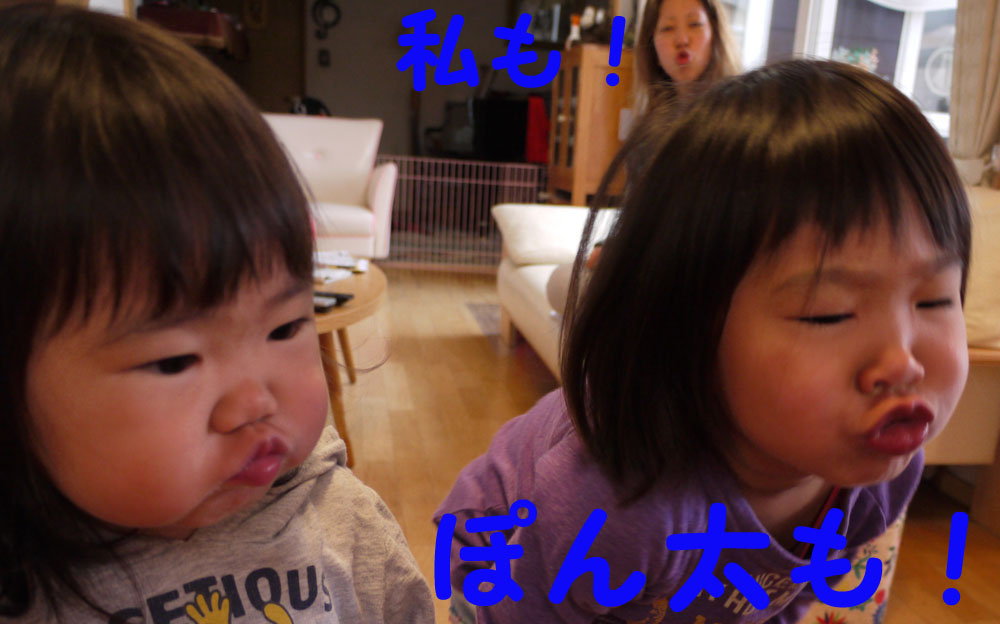 d0161525_15335167.jpg