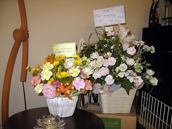 b0066826_11292162.gif
