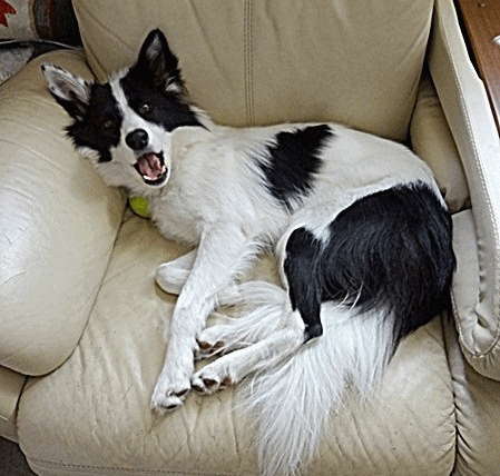 b0279527_1452532.gif