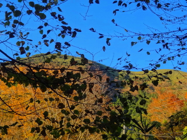 e0016828_18183348.jpg