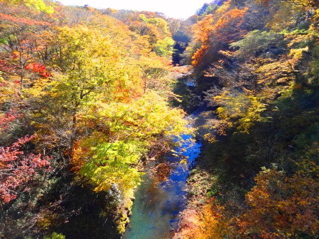e0016828_1820369.jpg