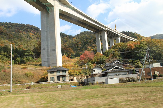a0045932_20584645.jpg