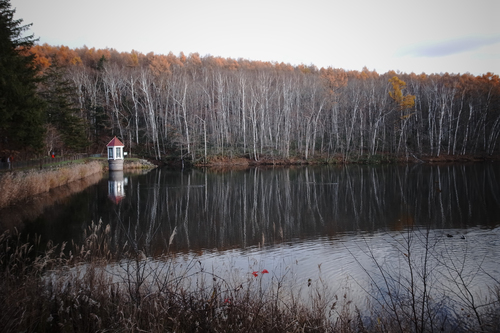 c0051132_20113778.jpg