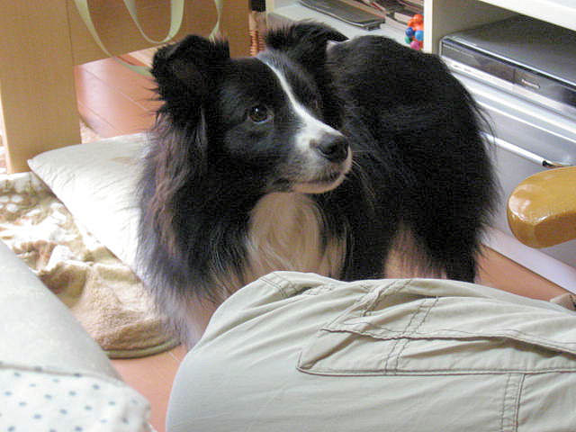 a0149240_1712438.jpg