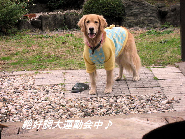 a0149240_1785660.jpg
