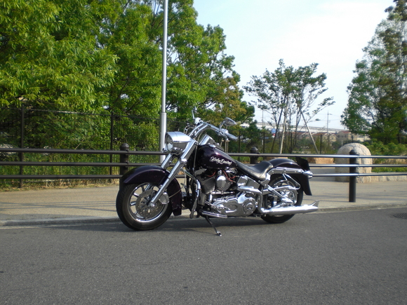 f0160040_23302330.jpg