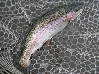 f0065341_17315759.jpg