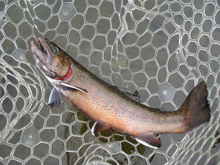 f0065341_17332530.jpg
