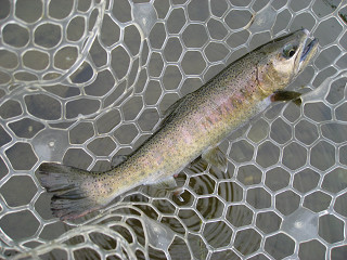 f0065341_1733336.jpg