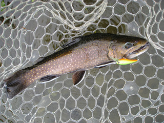 f0065341_17334699.jpg