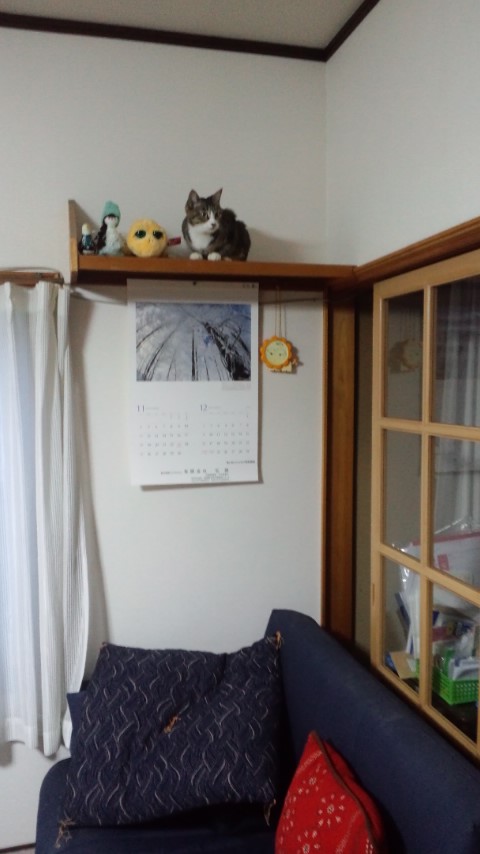 c0254543_629675.jpg