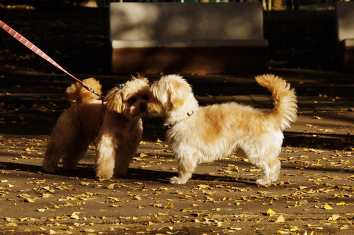 a0209045_17563614.jpg