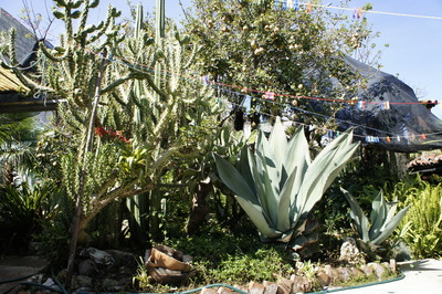 c0217045_8444890.jpg