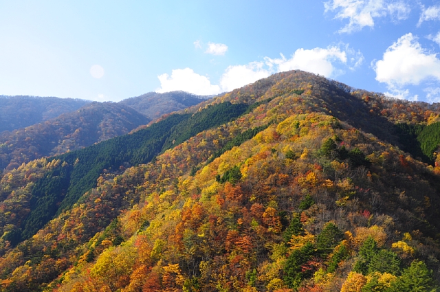 b0122448_122119100.jpg
