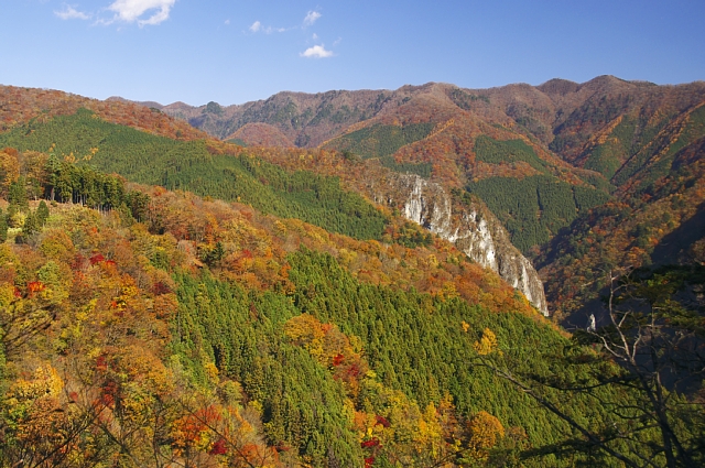 b0122448_12371370.jpg