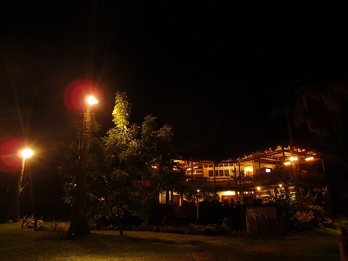 b0050067_244256.jpg