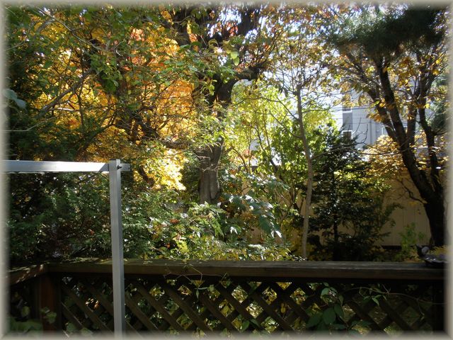 d0150967_1739501.jpg