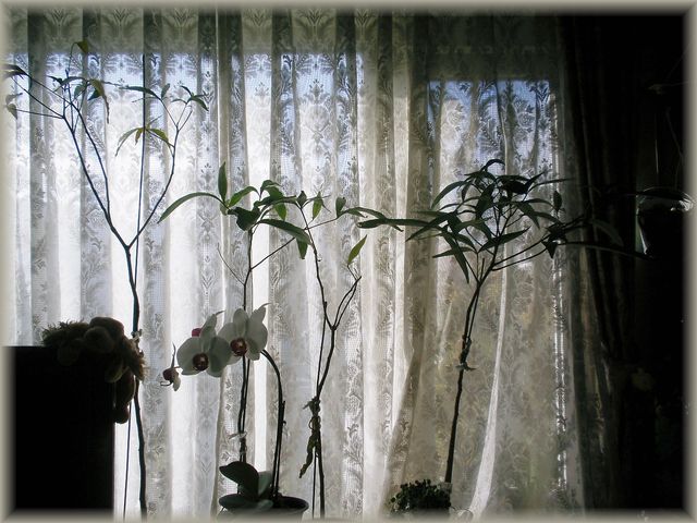 d0150967_175979.jpg