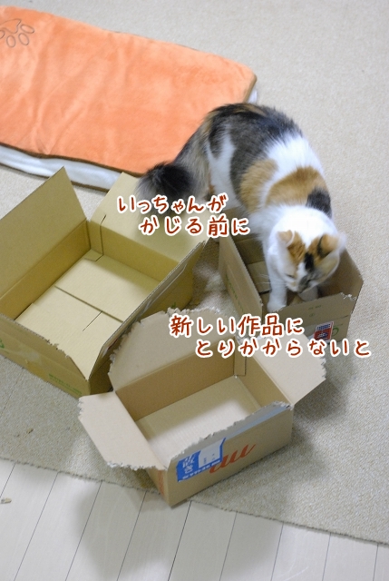 a0266372_19422211.jpg