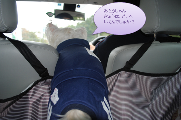 b0242873_2245057.png