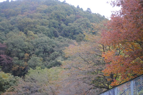 b0242873_23193921.jpg