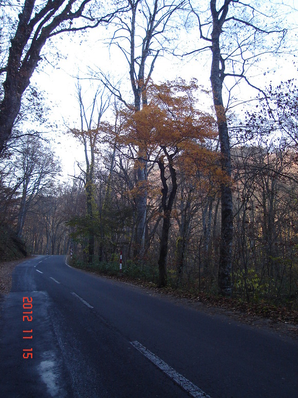 a0188775_1324323.jpg