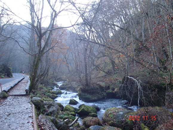a0188775_1332447.jpg