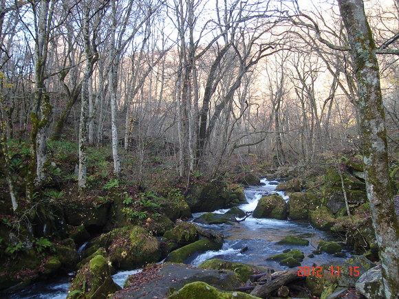 a0188775_1334320.jpg