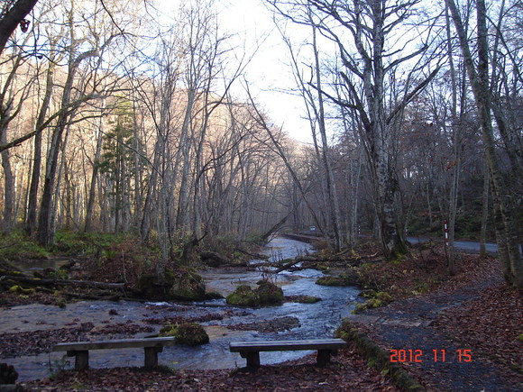 a0188775_1342521.jpg