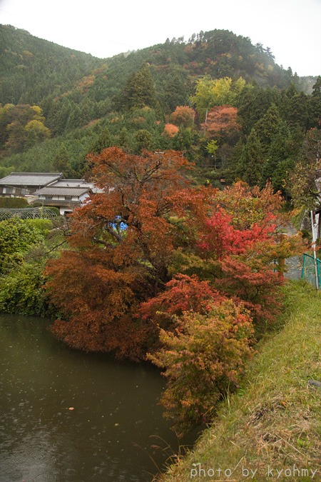 b0280176_1026162.jpg