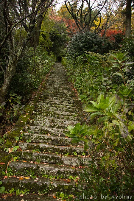 b0280176_10271673.jpg