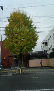 c0228378_2126315.jpg