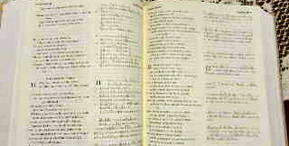 d0260278_1612717.jpg