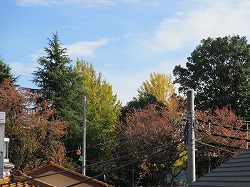 a0142083_11555523.jpg