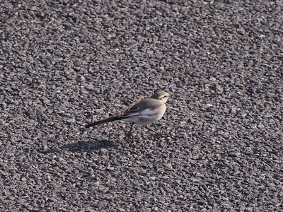 c0000685_18211711.jpg