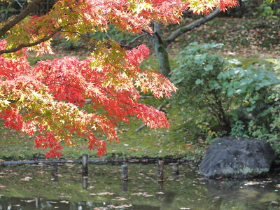 c0000685_18331081.jpg