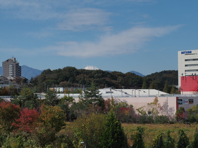 c0000685_190838.jpg