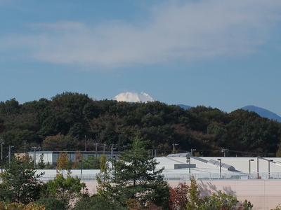 c0000685_19149.jpg