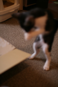 f0222387_14223091.jpg