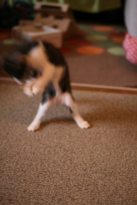 f0222387_14224487.jpg