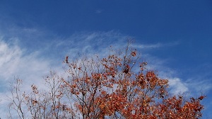 f0235289_15515534.jpg