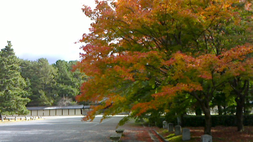 a0079292_1715558.jpg