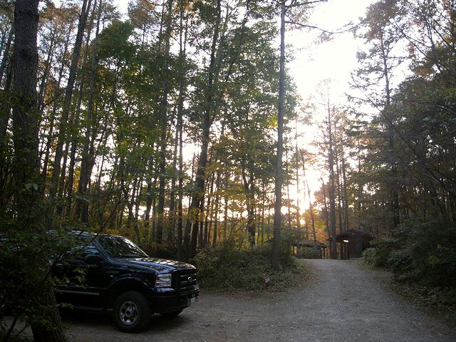 a0093592_0184728.jpg