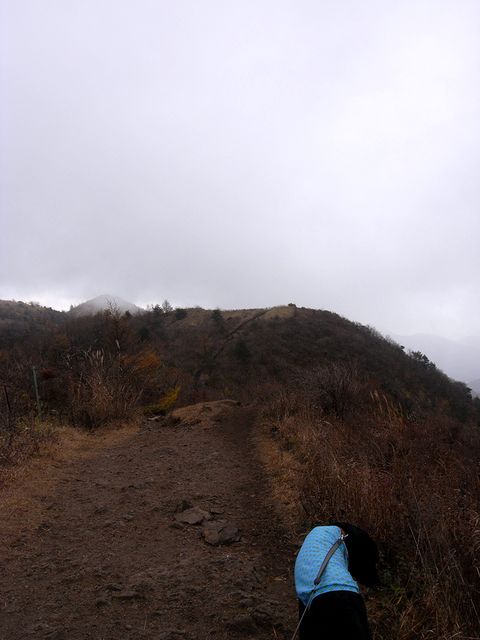 a0093592_0452797.jpg