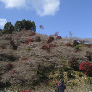 f0103797_15404036.jpg