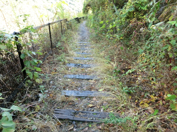 f0124601_21204282.jpg