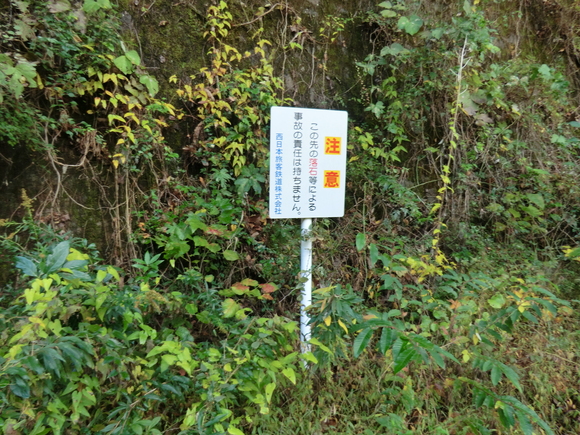 f0124601_21234878.jpg